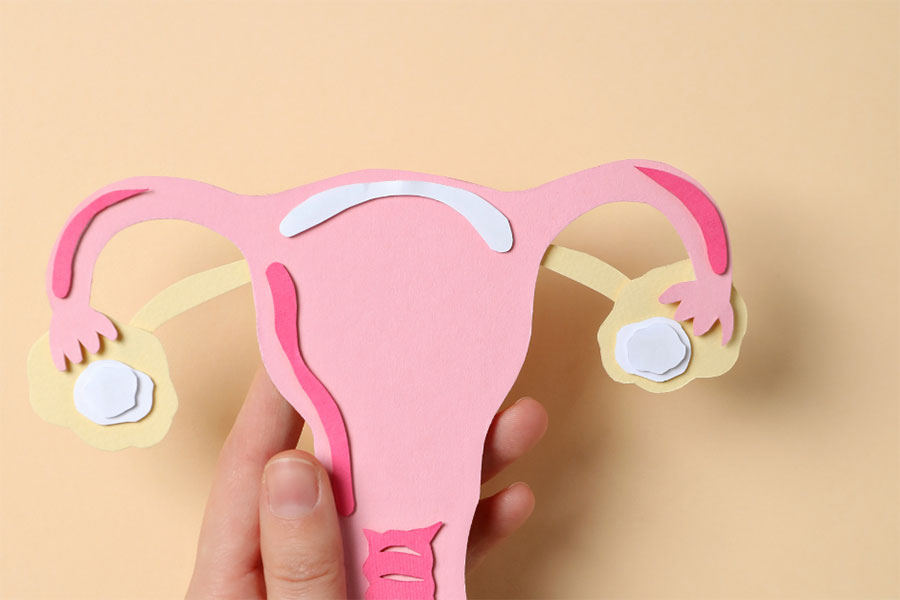 Ovulation and Fertility Cut Out